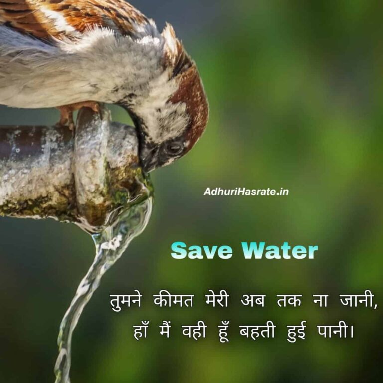 slogans on water conservation essay in hindi