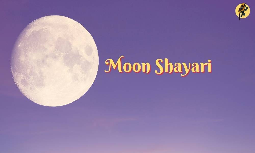 Moon Shayari in Hindi